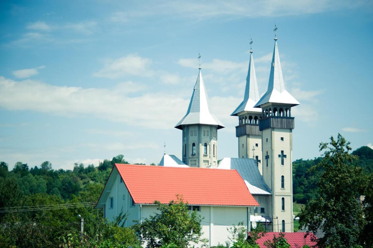 Pensiunea Agroturistica Casa Pribegilor Breb Zewnętrze zdjęcie