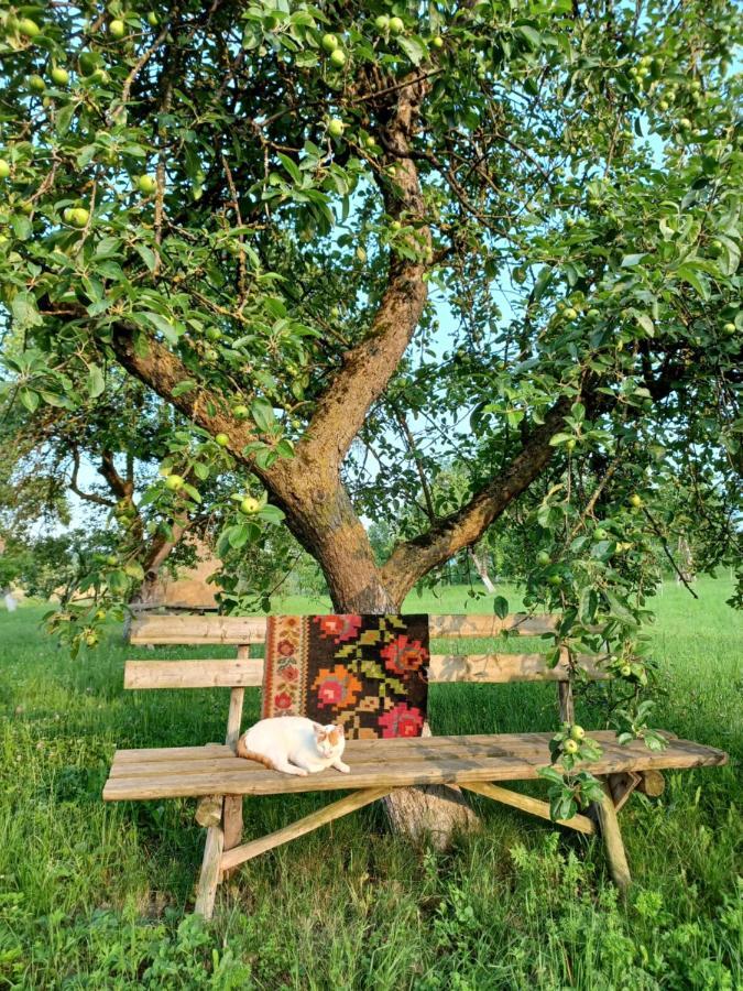 Pensiunea Agroturistica Casa Pribegilor Breb Zewnętrze zdjęcie