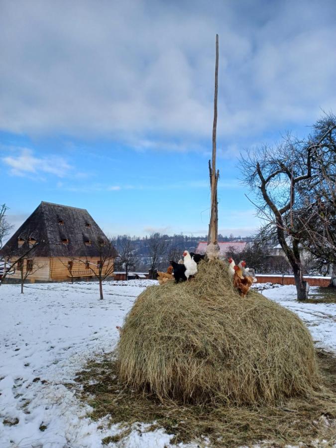 Pensiunea Agroturistica Casa Pribegilor Breb Zewnętrze zdjęcie